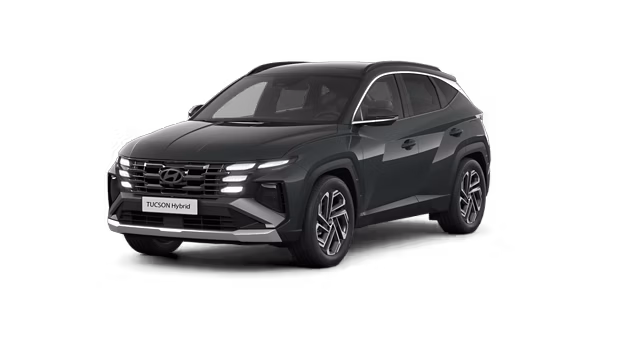 Гарантія та сервіс Hyundai | Терміни і Умови | Хюндай Мотор Україна  - фото 12