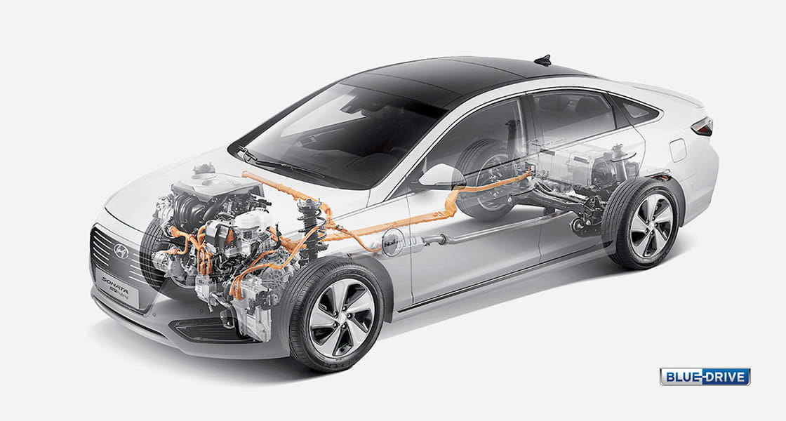 Hyundai ЕКО: Екологічні ініціативи | Хюндай Мотор Україна - фото 8