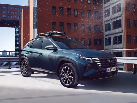 Комплект для оформлення екстер’єру, колір “матовий алюміній