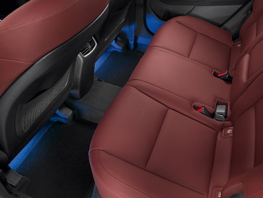 Світлодіодне підсвічування місця для ніг, синє, другий ряд | Хюндай Мотор Україна - фото 8