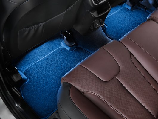 Світлодіодна підсвітка синя, для другого ряду сидінь | Хюндай Мотор Україна - фото 11