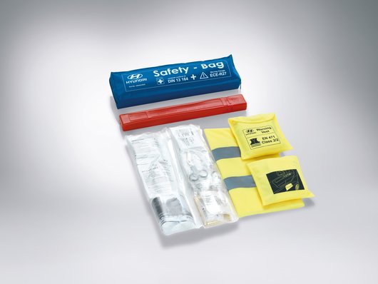 Сумка безпеки | Хюндай Мотор Україна - фото 9