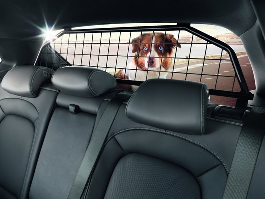 Охоронець собаки | Хюндай Мотор Україна - фото 8