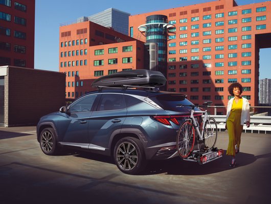 Молдинги дверей, матовий алюміній | Хюндай Мотор Україна - фото 12