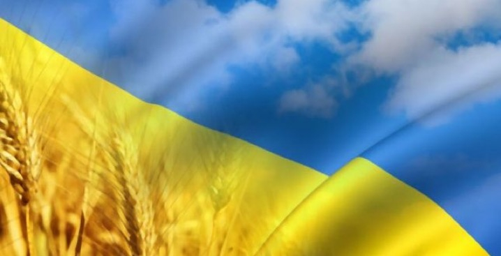 Новини | Хюндай Мотор Україна - фото 11